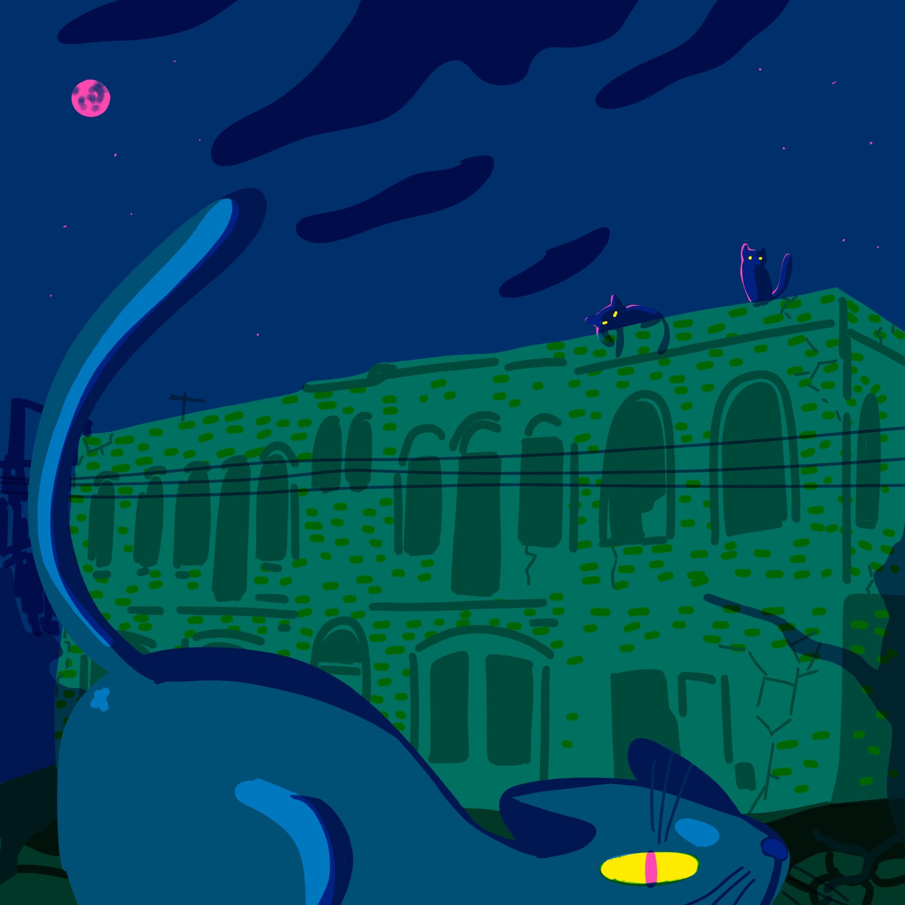 Cat beside a stone building at night