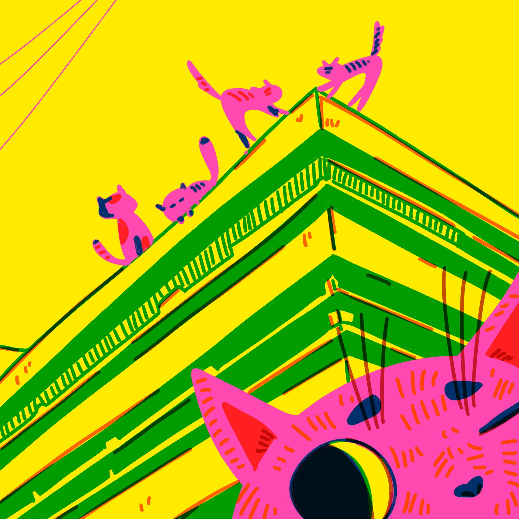 Cats on a rooftop
