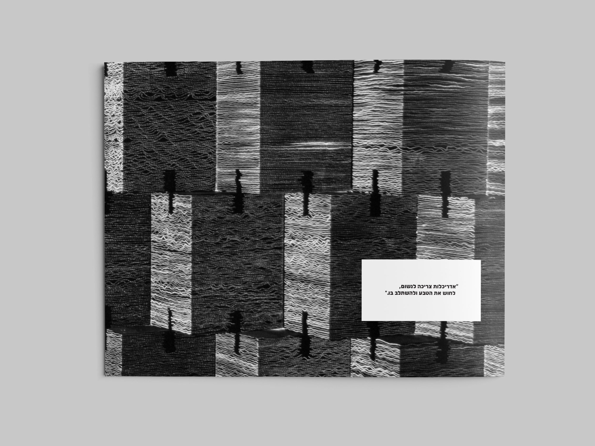The back cover, with a single line of text in a white panel