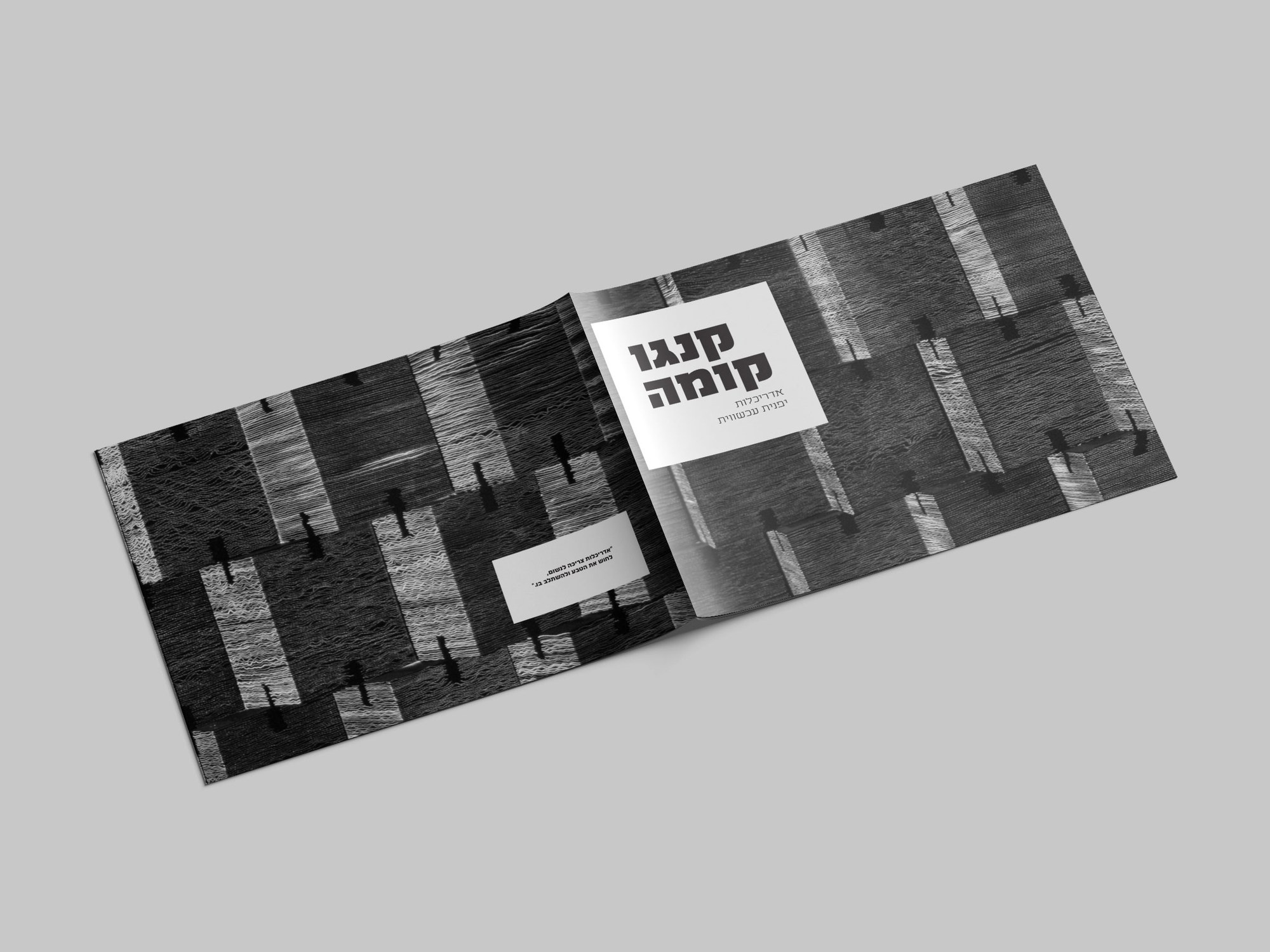 The brochure open, front and back covers together