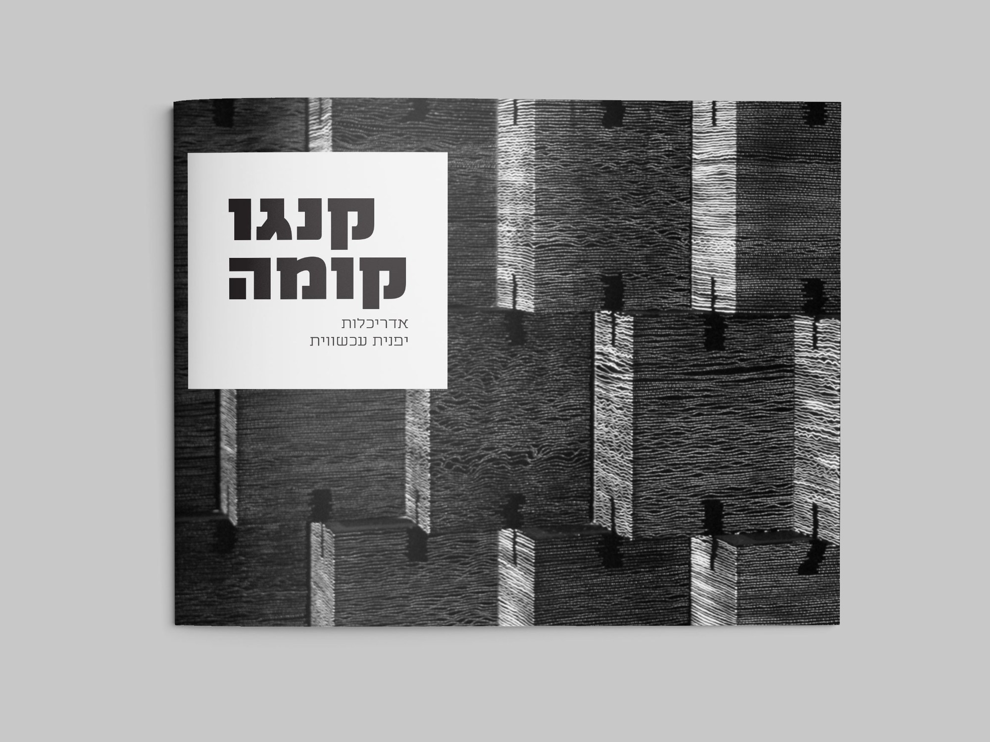 The brochure cover, with the title set in a white square